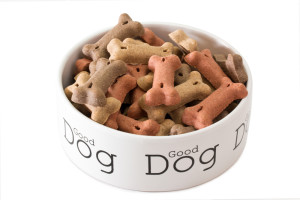 dog food bowl in pet friendly cabins in the Smoky Mountains